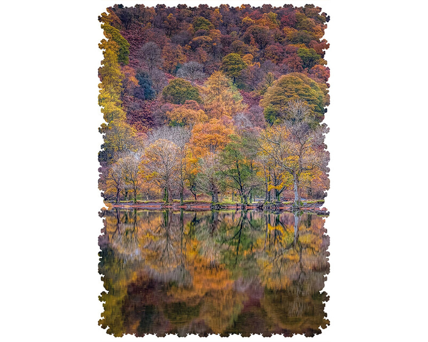 Reflections Upon Autumn Wooden Puzzle