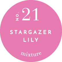 Stargazer Lily - 10oz Mixture Candle