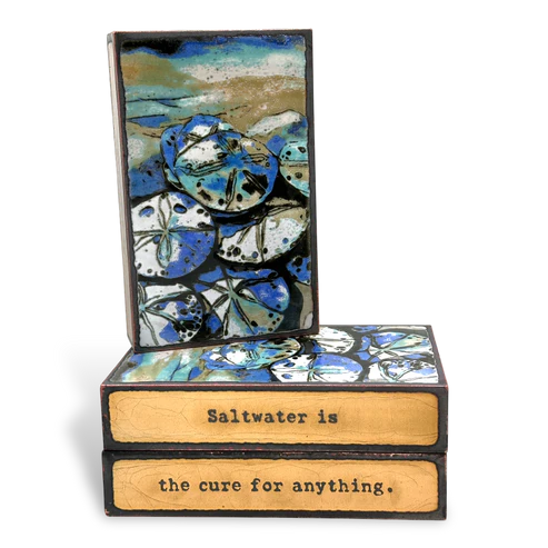 299: Saltwater Sanitiy