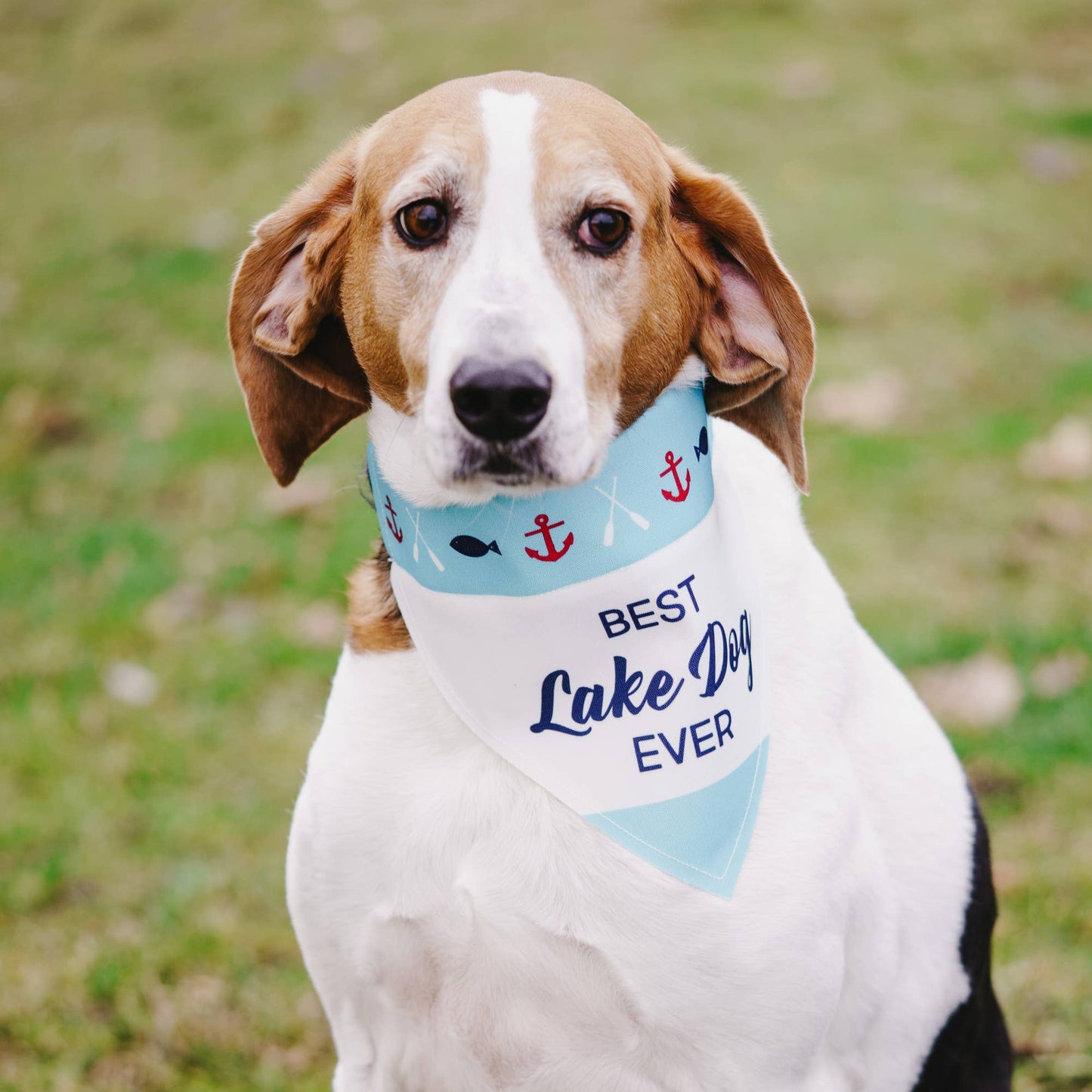Lake Dog - 12" x 8" Canvas Slip on Pet Bandana: 12" x 8" Medium-Large