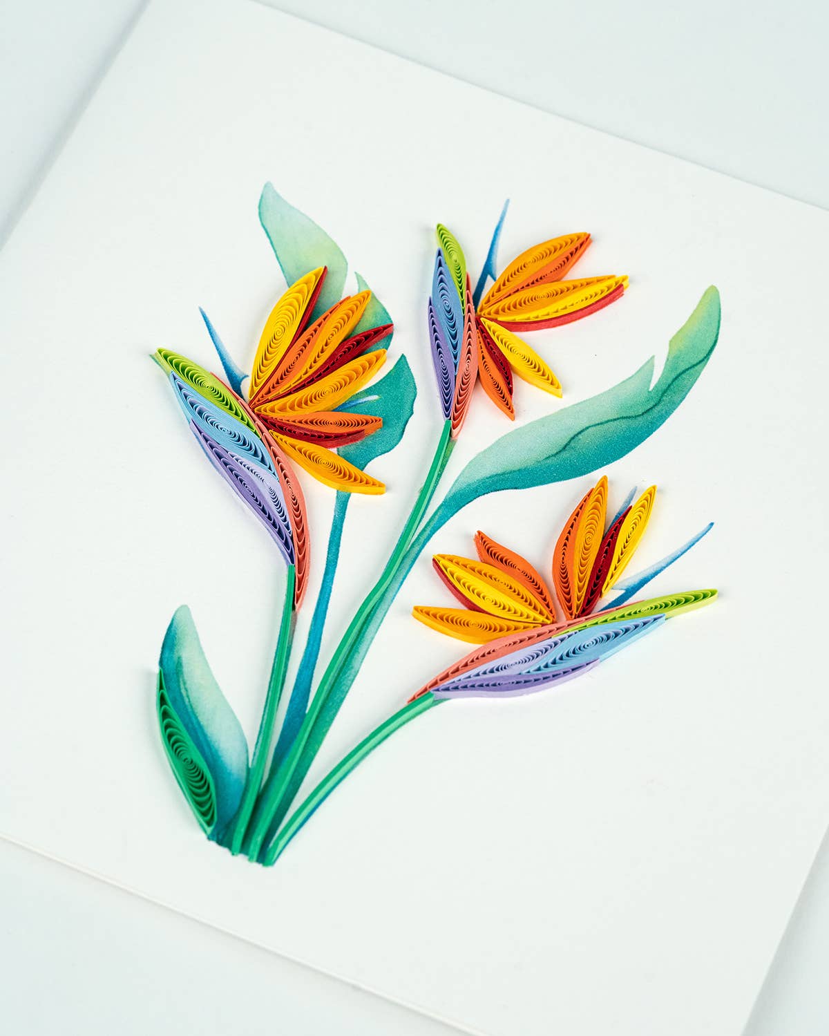 Quilled Bird of Paradise (New 2023) Greeting Card