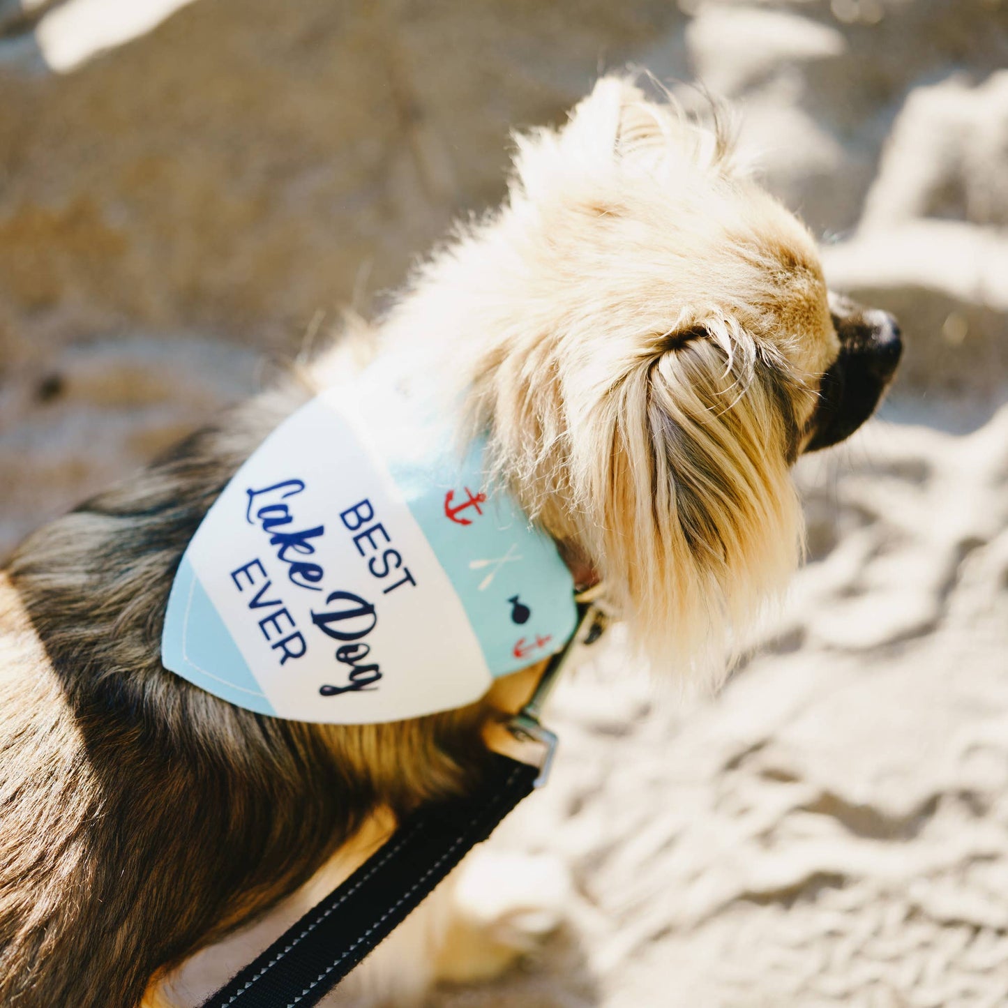 Lake Dog - 12" x 8" Canvas Slip on Pet Bandana: 12" x 8" Medium-Large