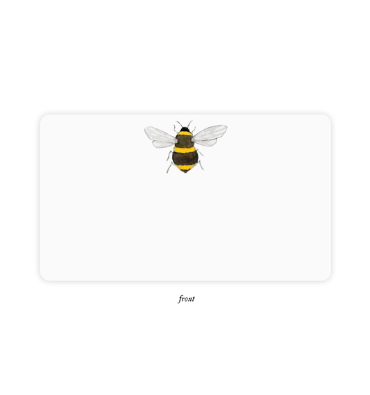 Bee Little NotesĀ® - Boxed Set of 85 Mini Note Cards