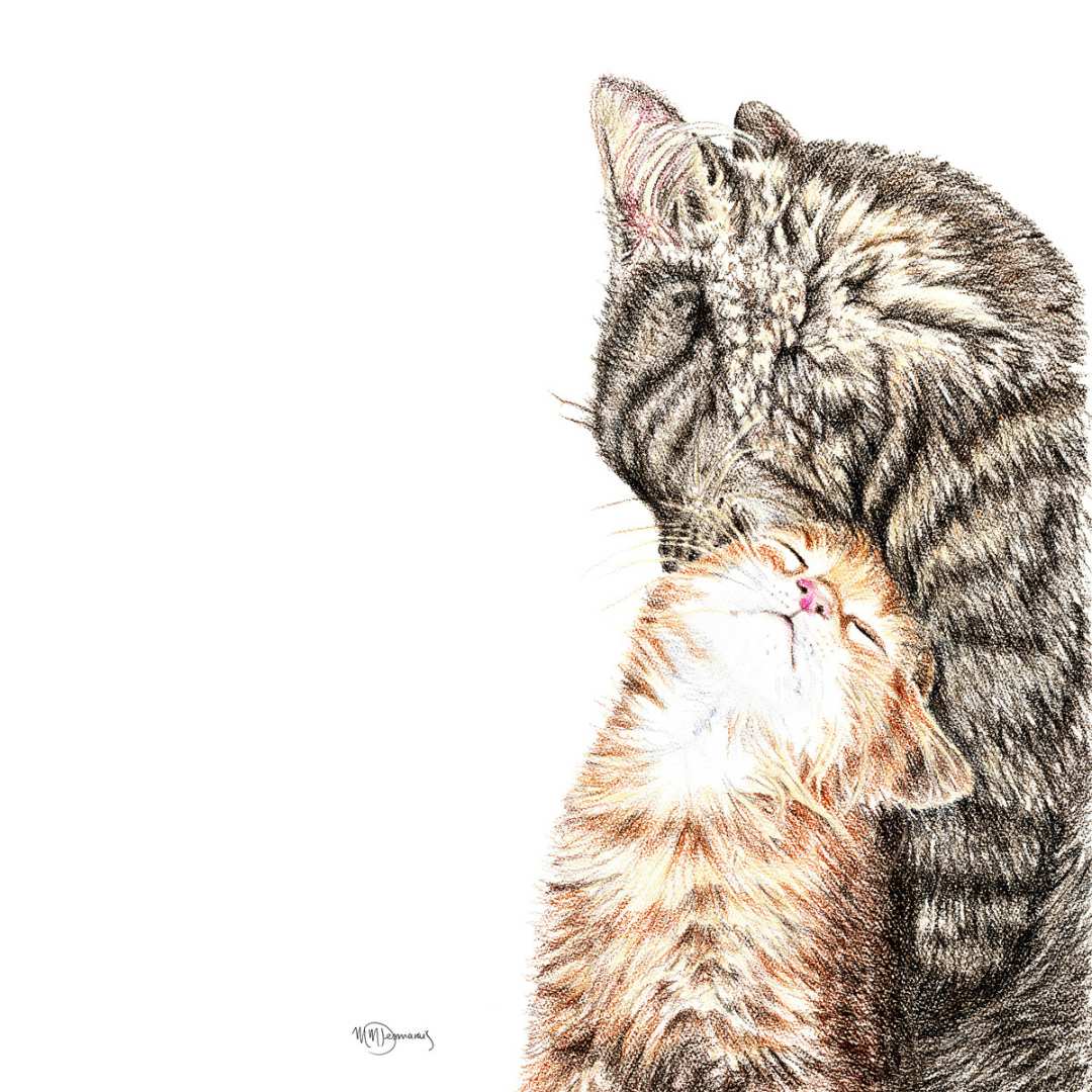 Mama cat with kitten - greeting card