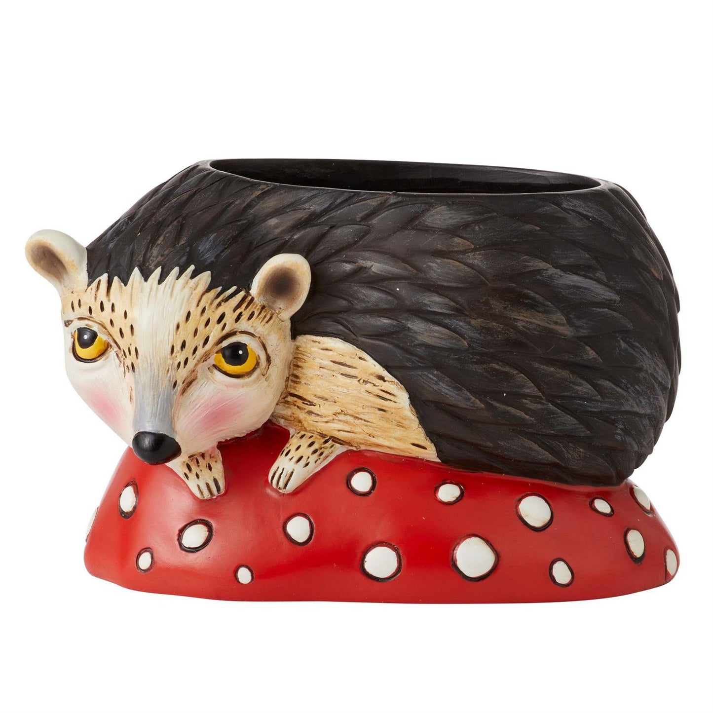Hank The Hedgehog Baby Planter