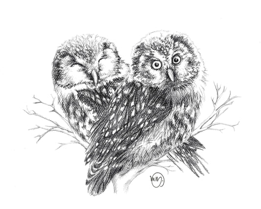 Owls In Love Greeting Card