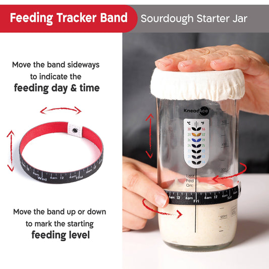 KneadAceĀ® 24oz Sourdough Starter Jar: Single Pack