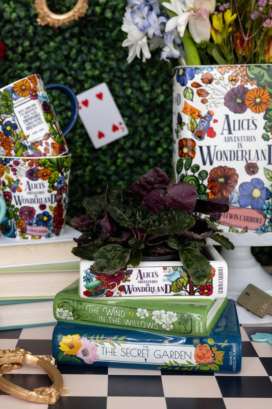 Stacked Books Planter Alice/Wind in the Willows/The Secret