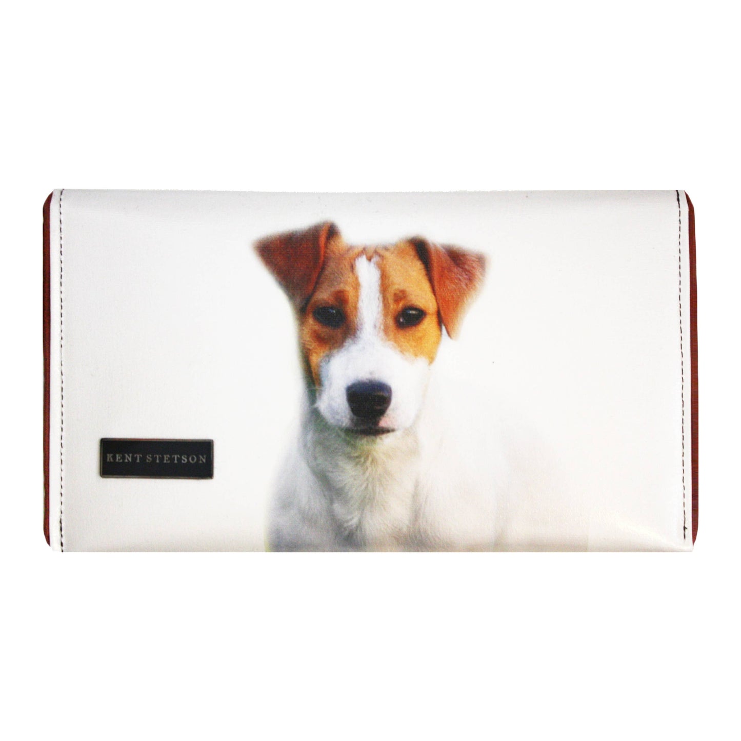 Jack Russell Terrier