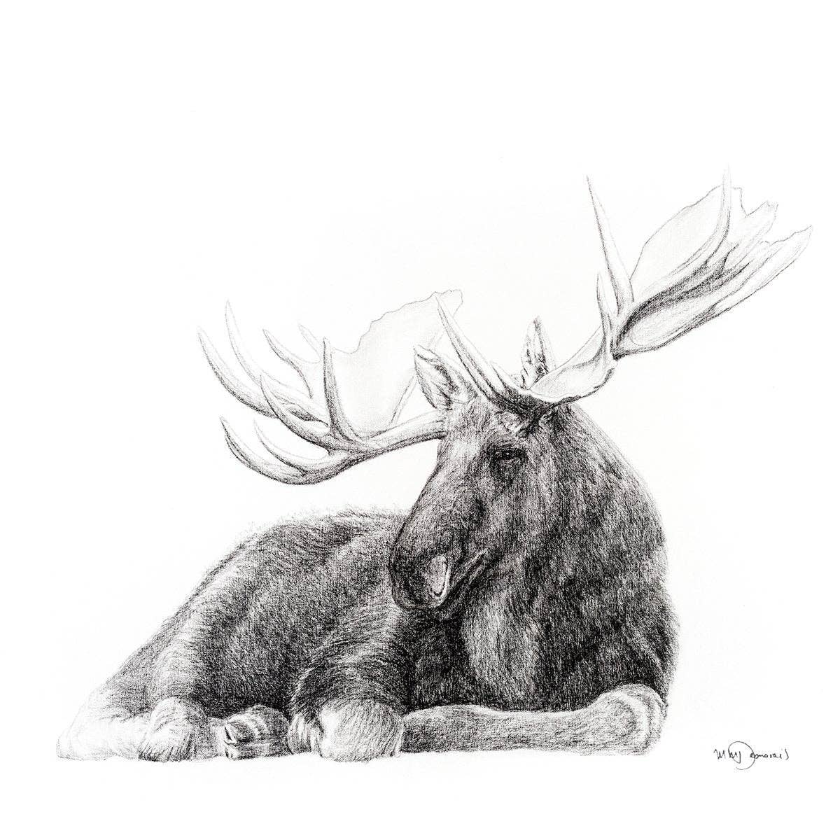 Majestic Moose Greeting Card