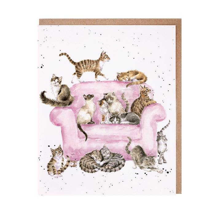 Cattitude