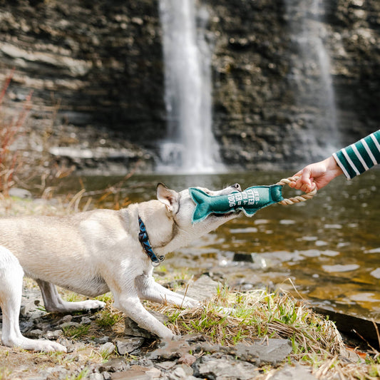 River Dog - 12" Canvas Dog Toy on Rope