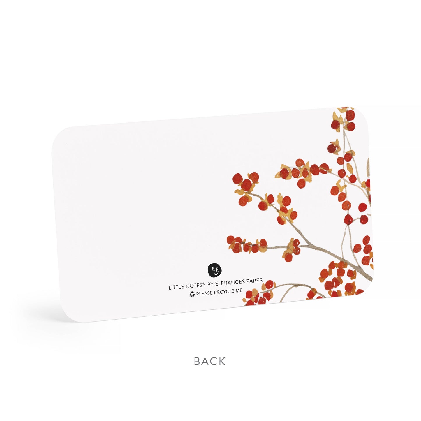 Autumn Berry Pitcher Little Notes®