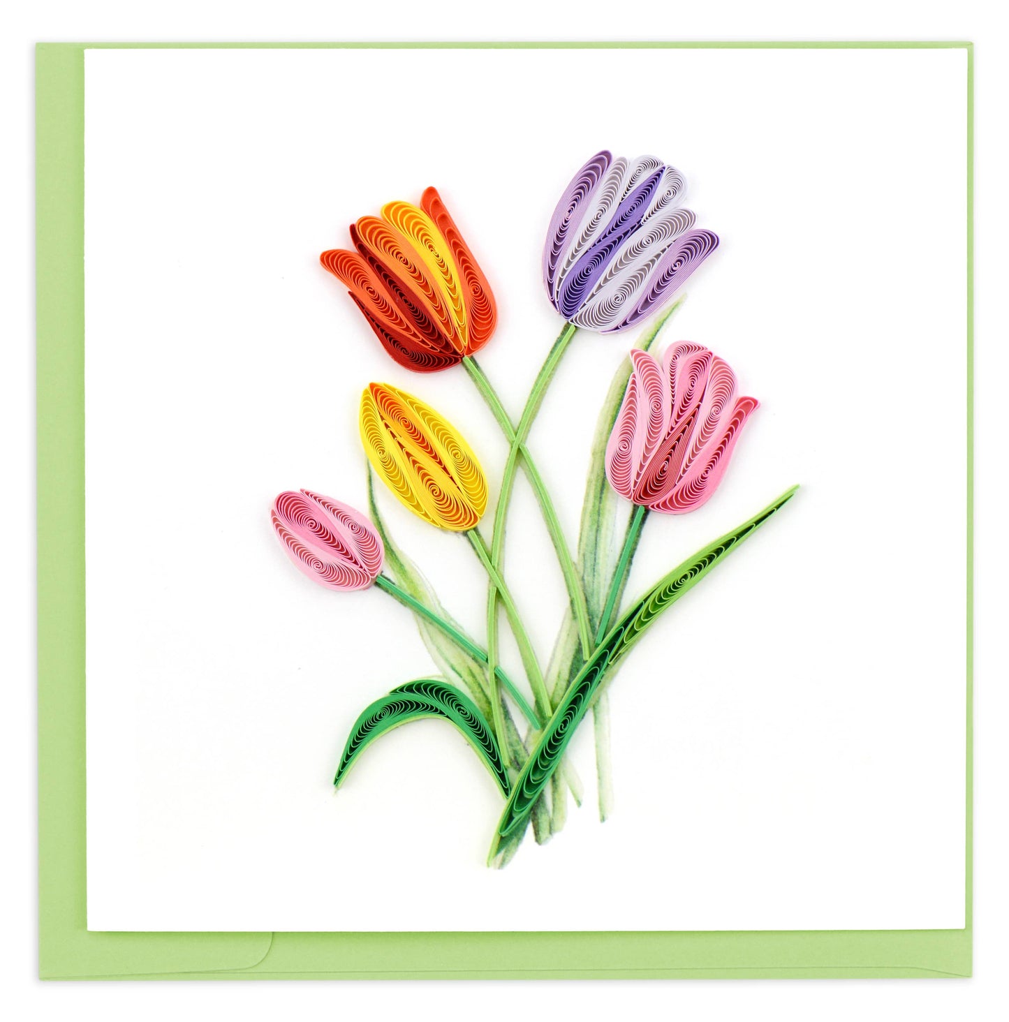 Colorful Tulips