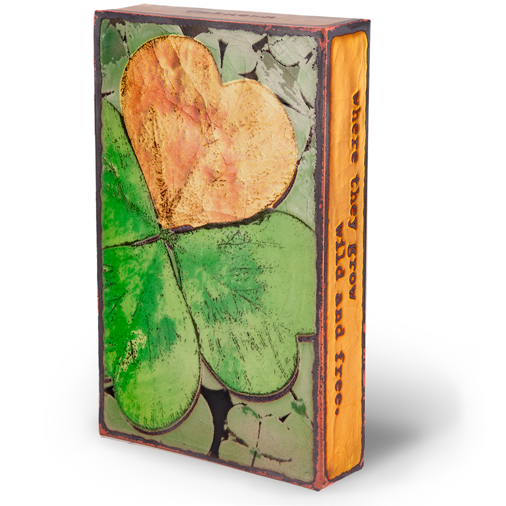227: Lucky Find