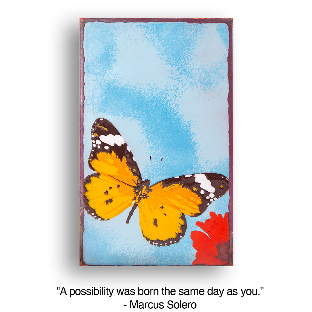 228 - Chrysalis