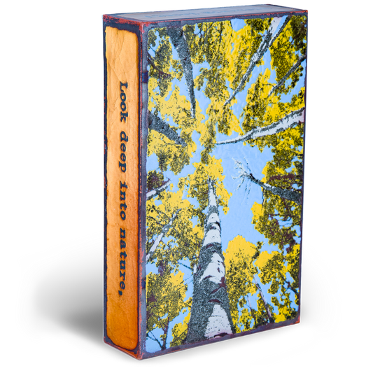 208: Depth Perception