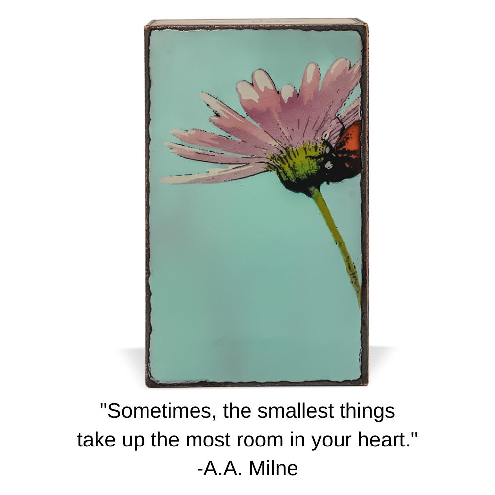 266: Cherish (Retired)