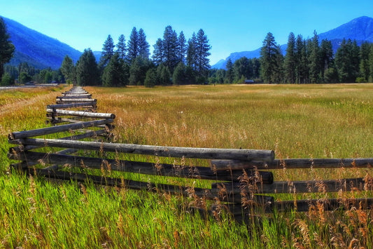 ThruBlueiis Photography