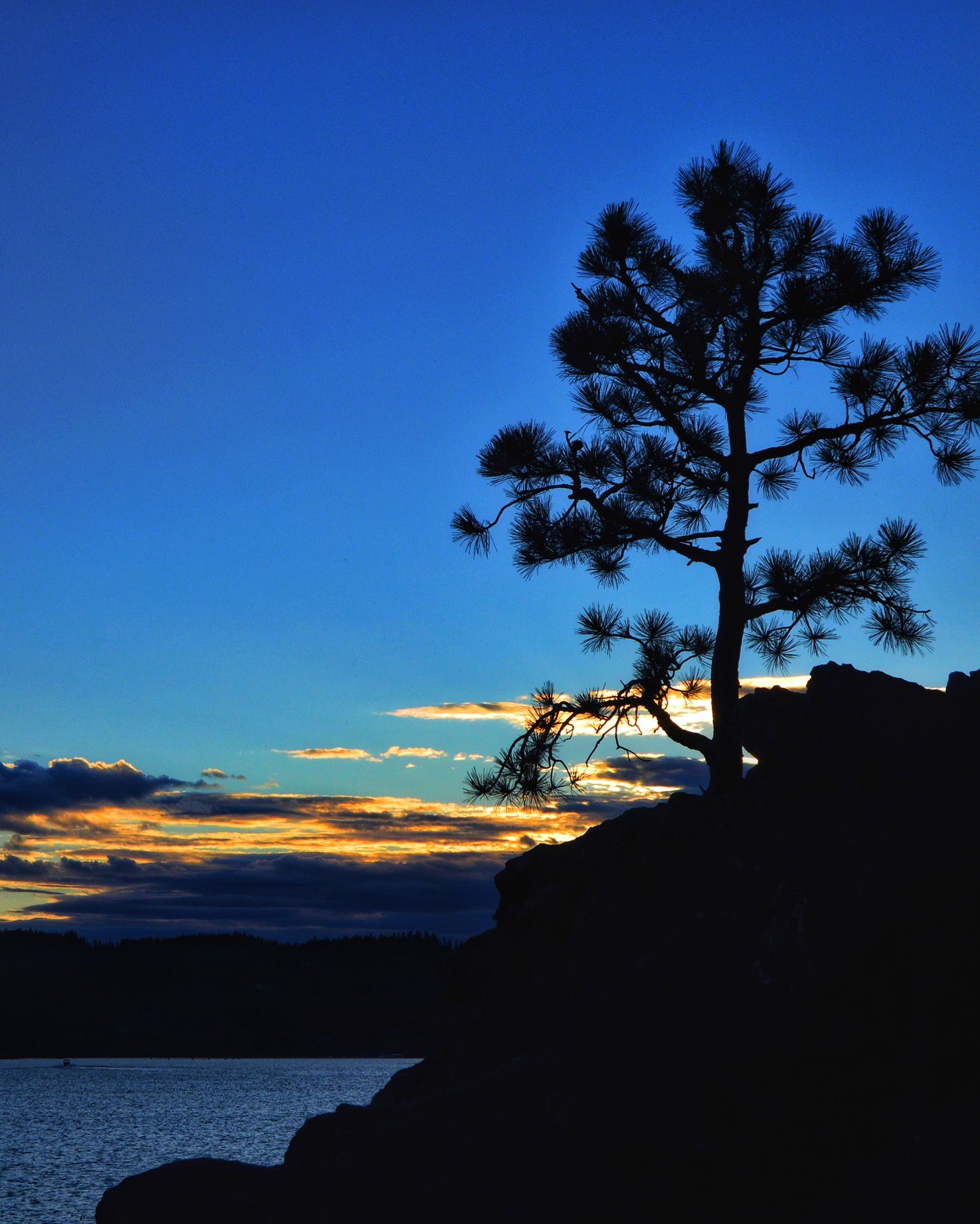 ThruBlueiis Photography