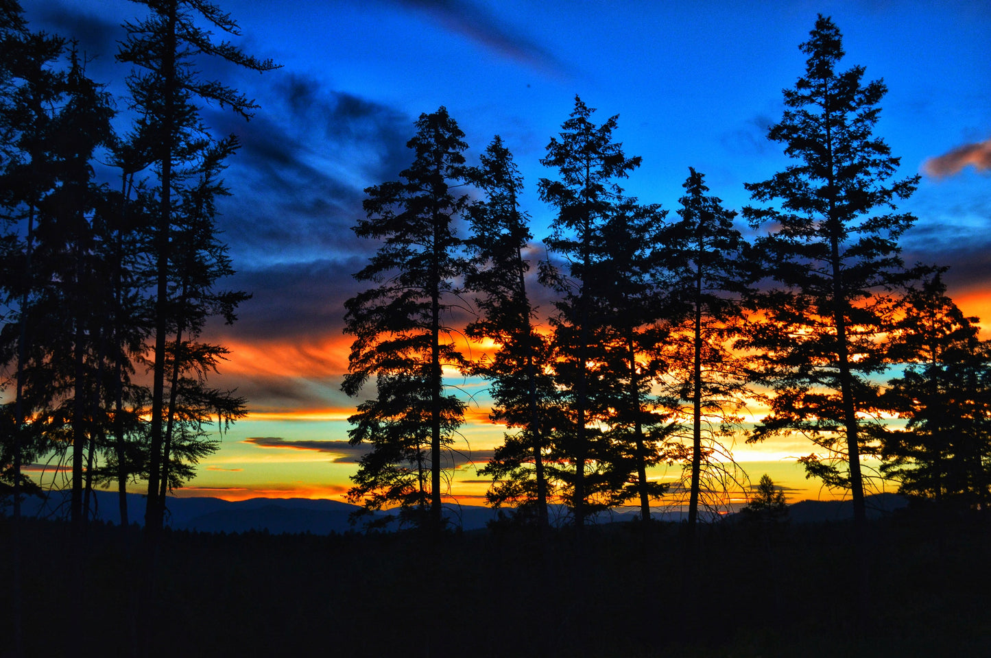 ThruBlueiis Photography