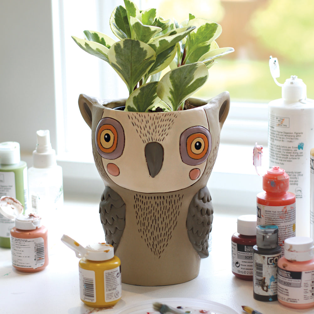 Old Blue Owl Clock & Planter