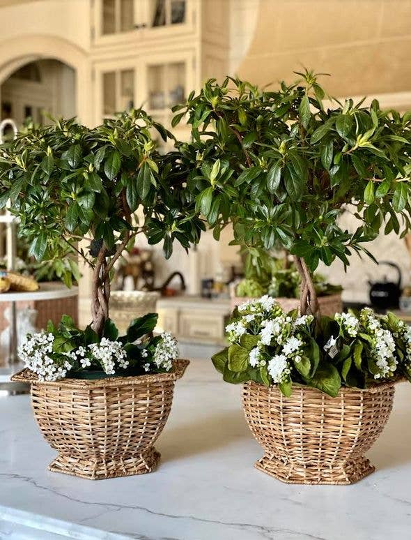 Hexagon Wicker Planter - Medium