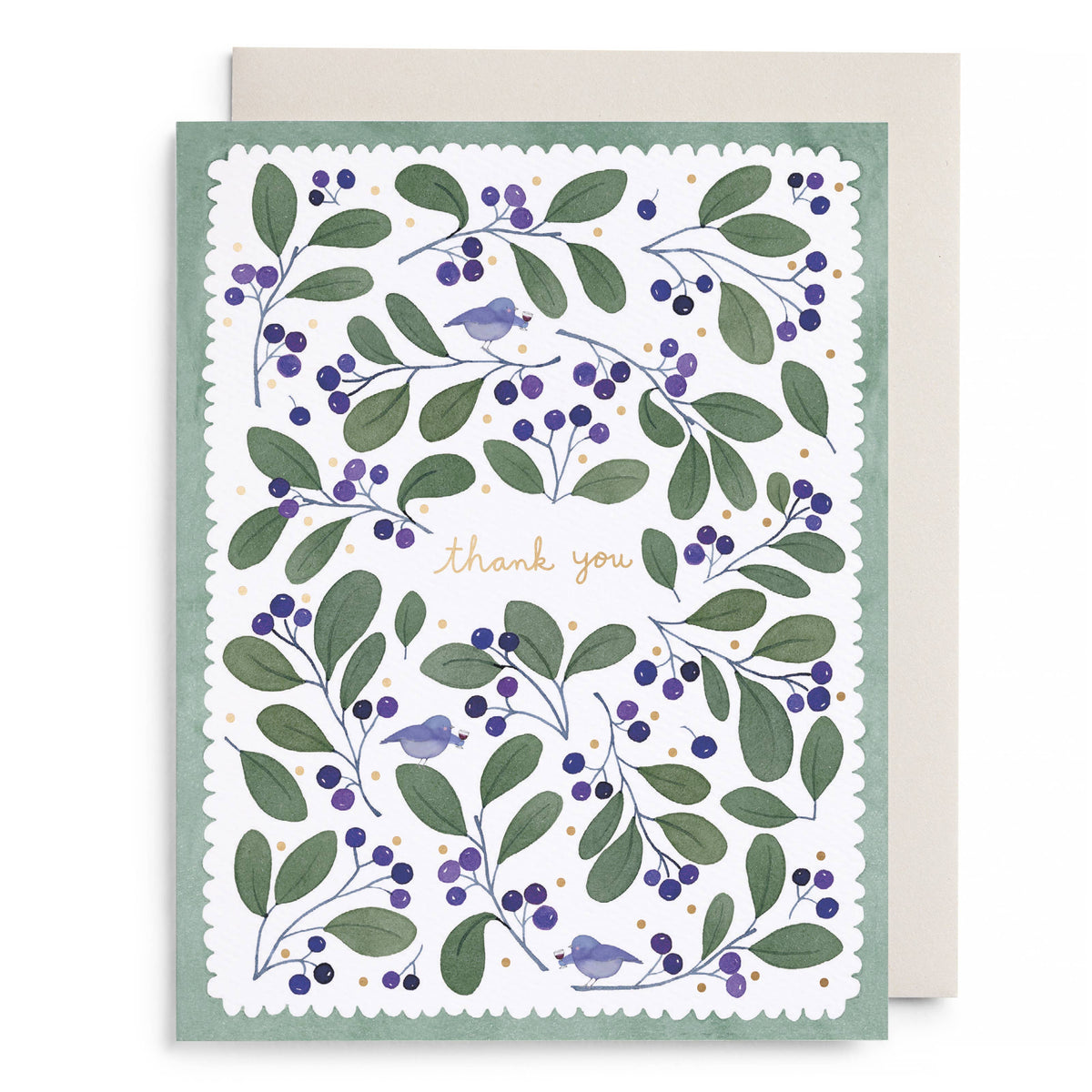 Chirps and Cheers Thank You Boxed Card Set
