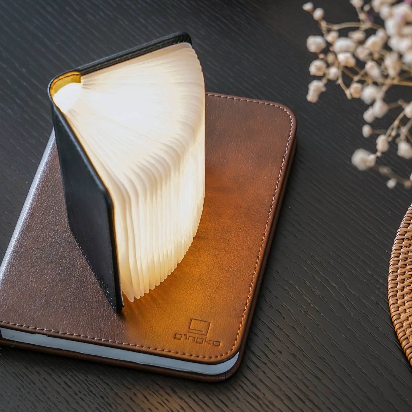 Leather Smart Book Light: Black Leather / Mini
