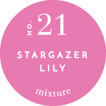 2oz Mixture Candle - Stargazer Lily