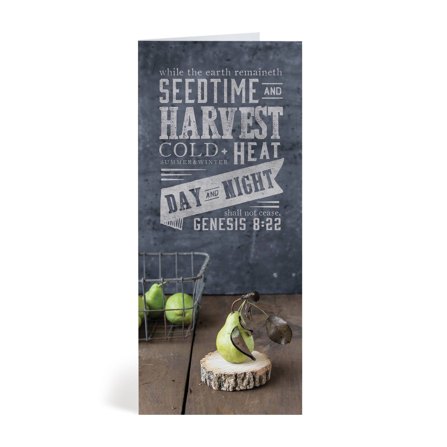 Summer & Winter Encouragement Greeting Card