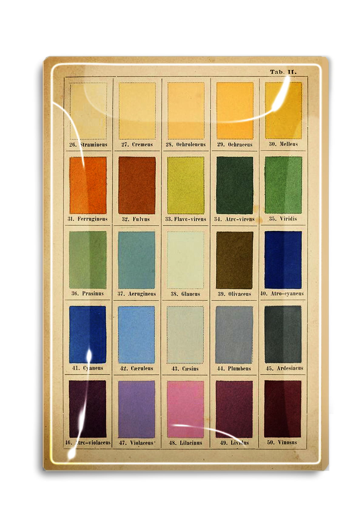 1890's Painter's Palette Glass Tray