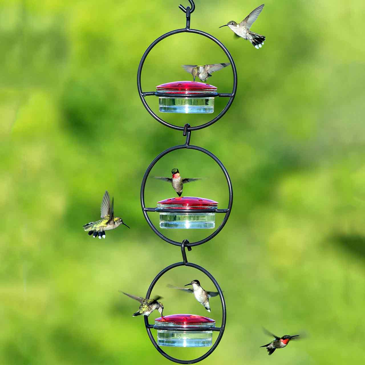 Hummble Slim Hummingbird Feeder
