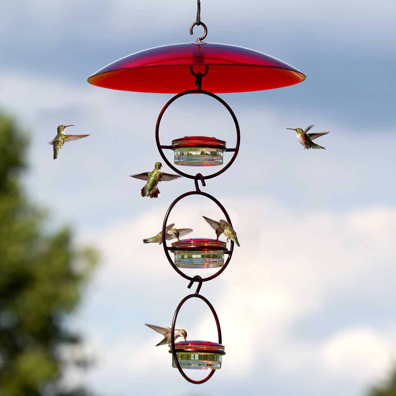 Hummble Slim Hummingbird Feeder