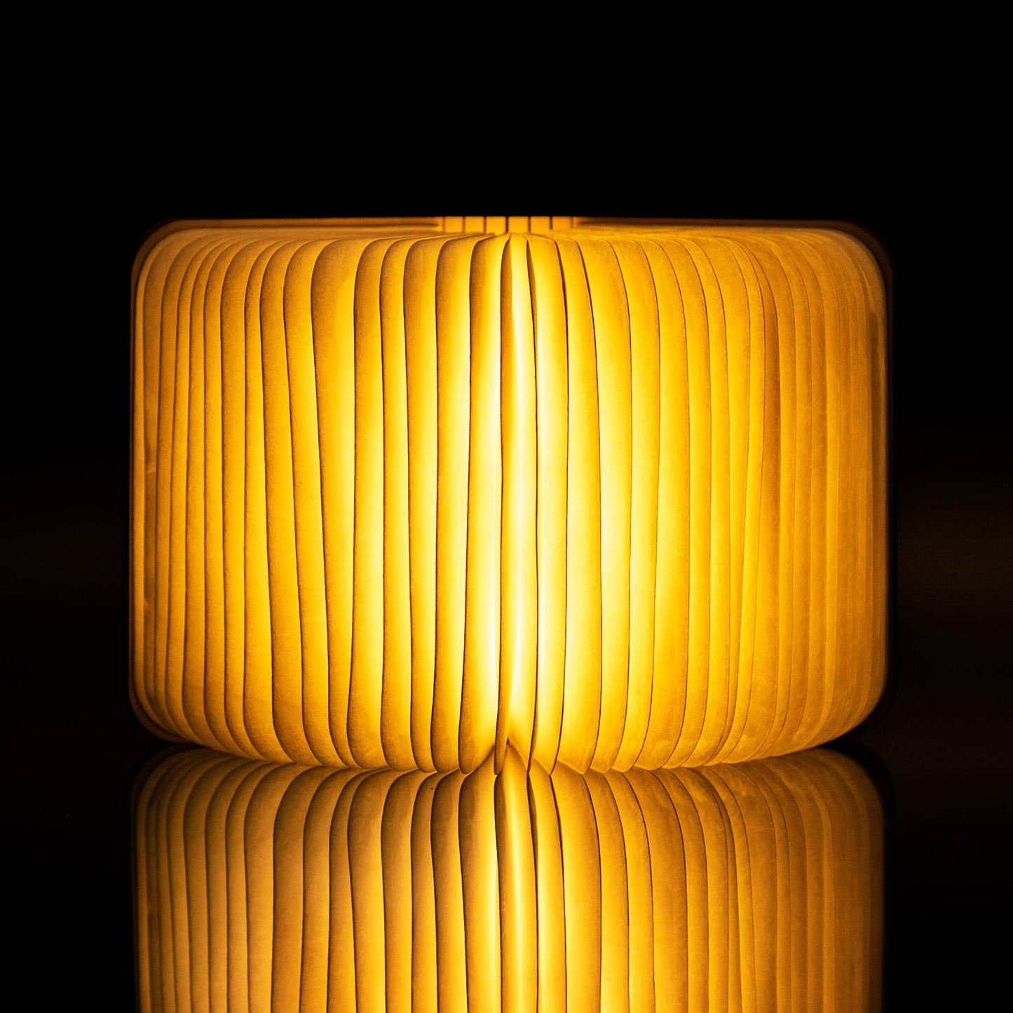Smart Book Light: Maple / Mini
