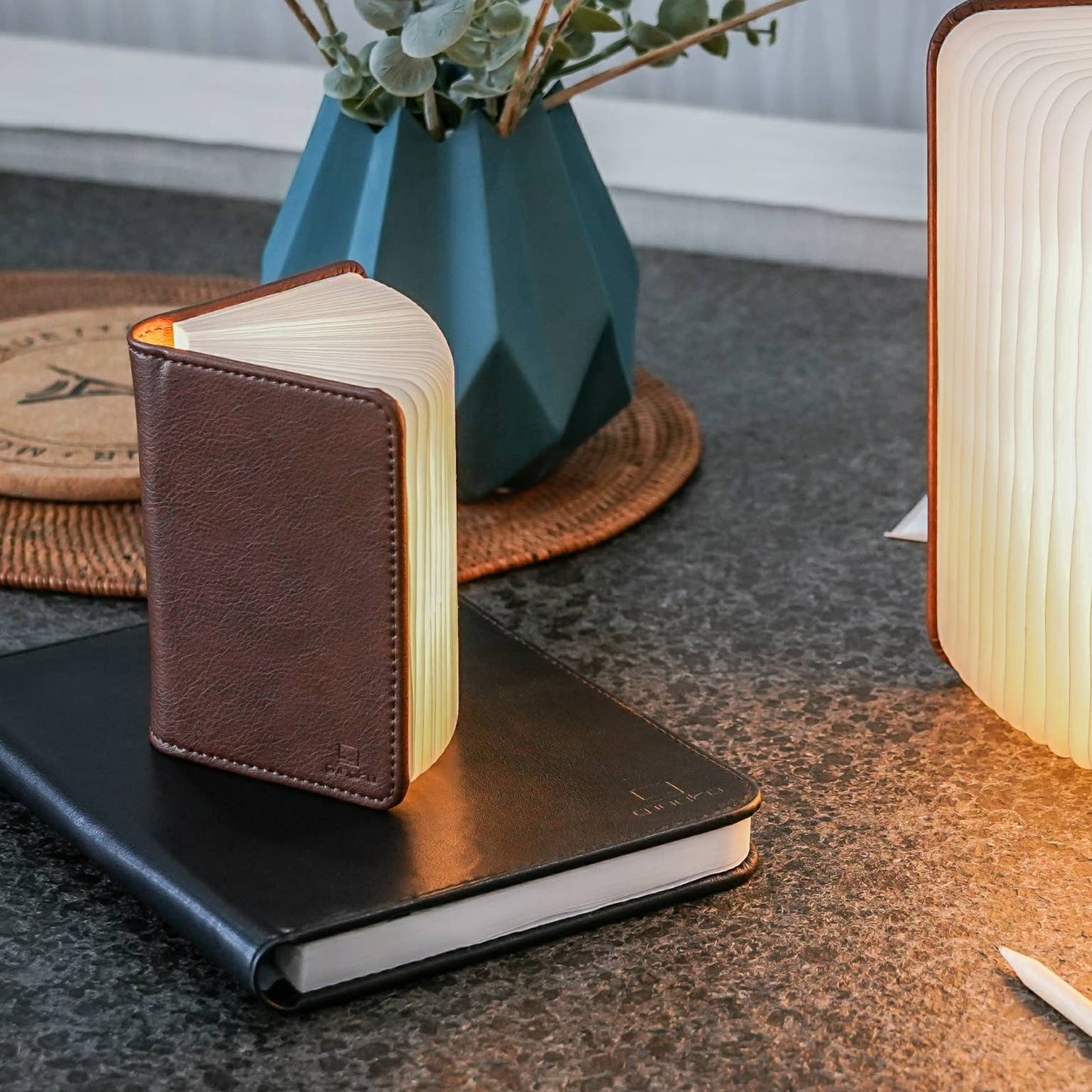 Leather Smart Book Light: Black Leather / Mini