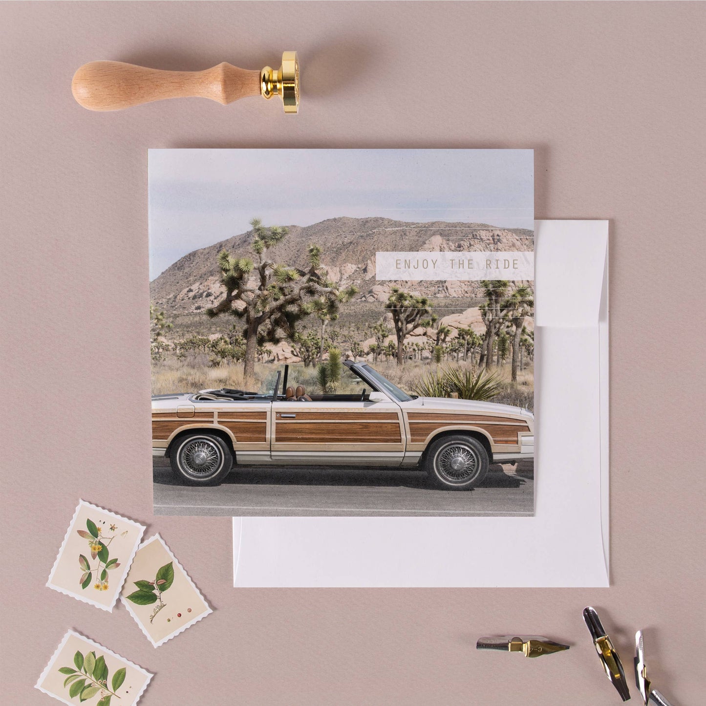 Joshua Tree Car