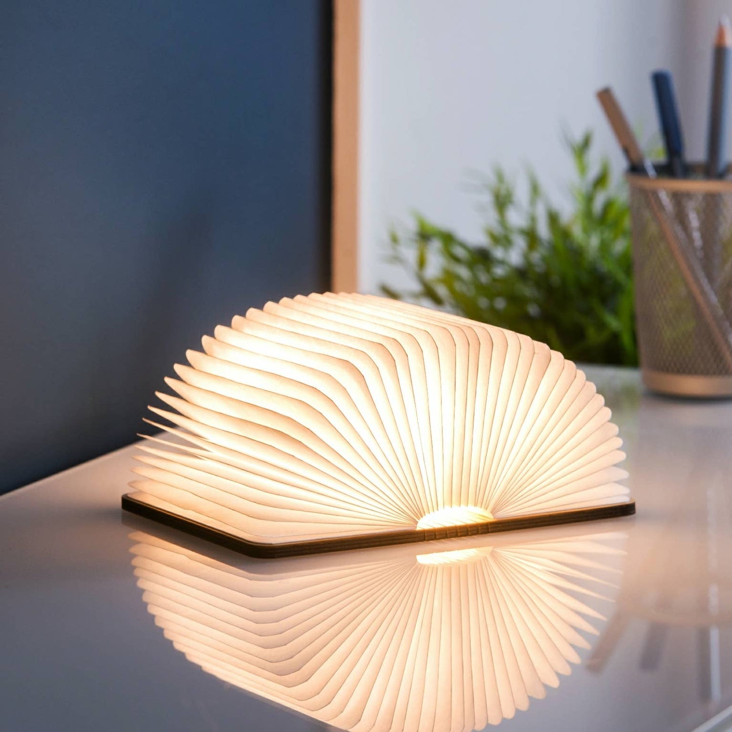 Smart Book Light: Walnut / Mini