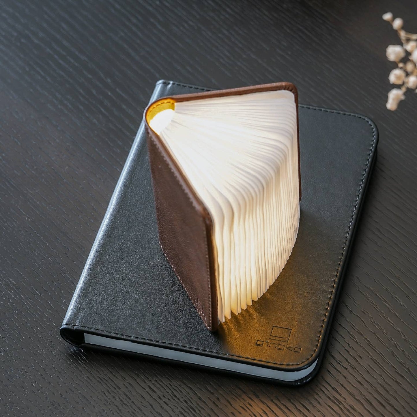 Leather Smart Book Light: Black Leather / Mini