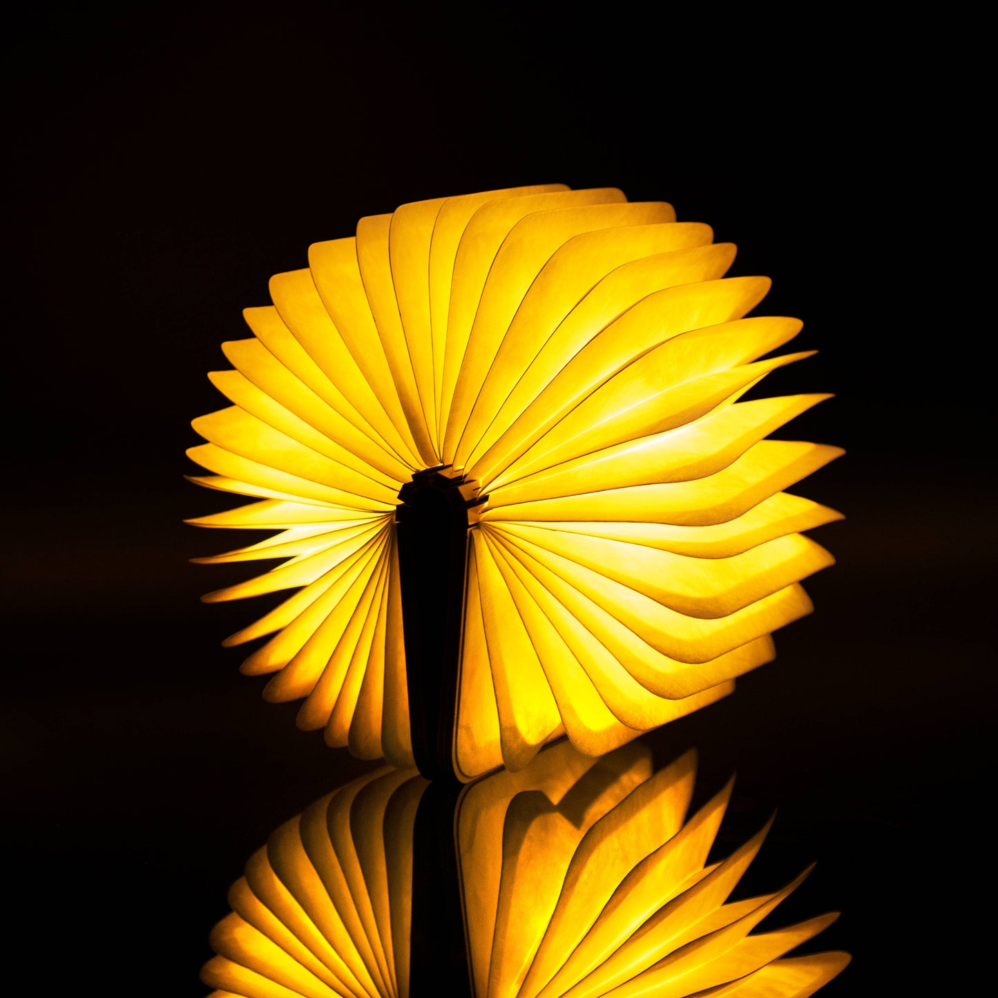 Smart Book Light: Maple / Large