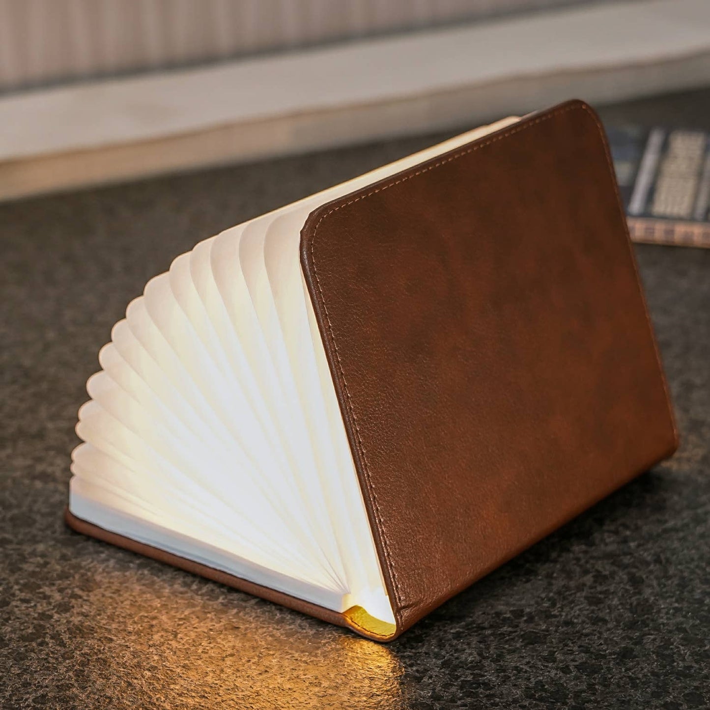 Leather Smart Book Light: Black Leather / Mini