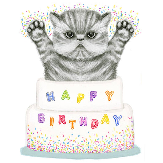 Kitten Cake