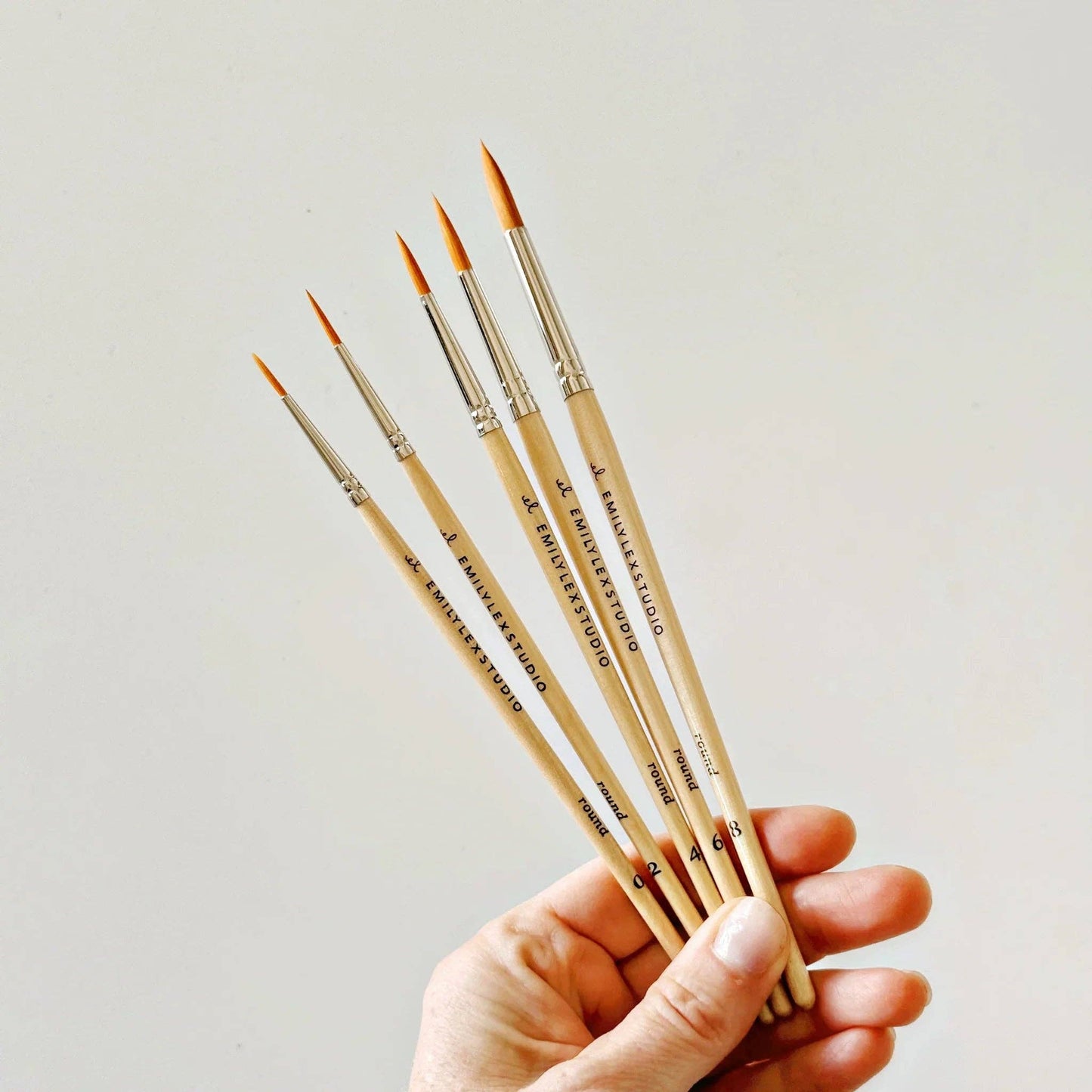 Watercolor Paintbrush Set/5 Wood Brushes