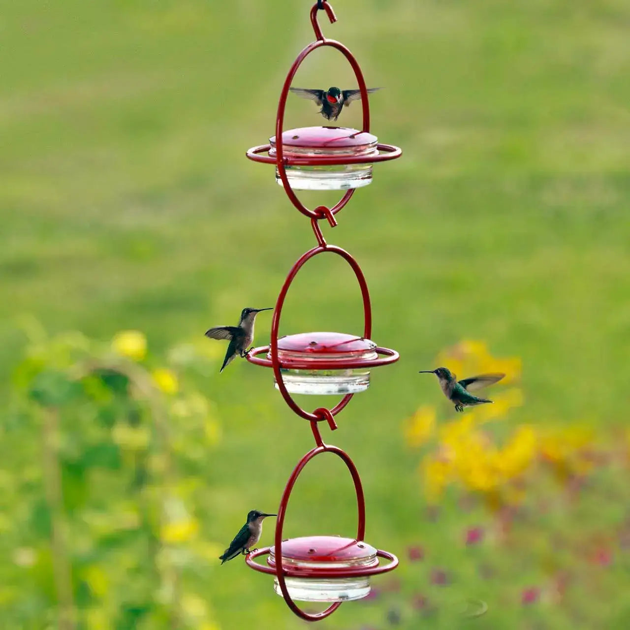 Hummble Bold Hummingbird Feeder Red