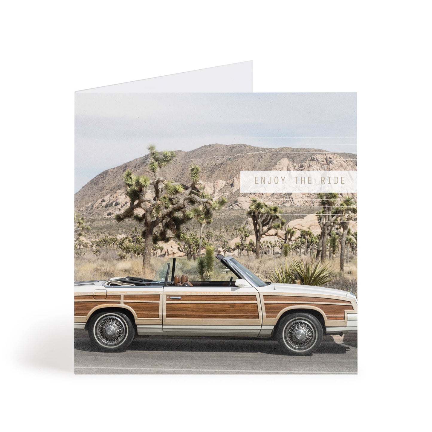 Joshua Tree Car