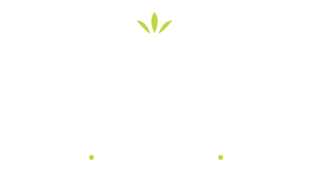 Allen Designs – Mix It Up Home & Gift