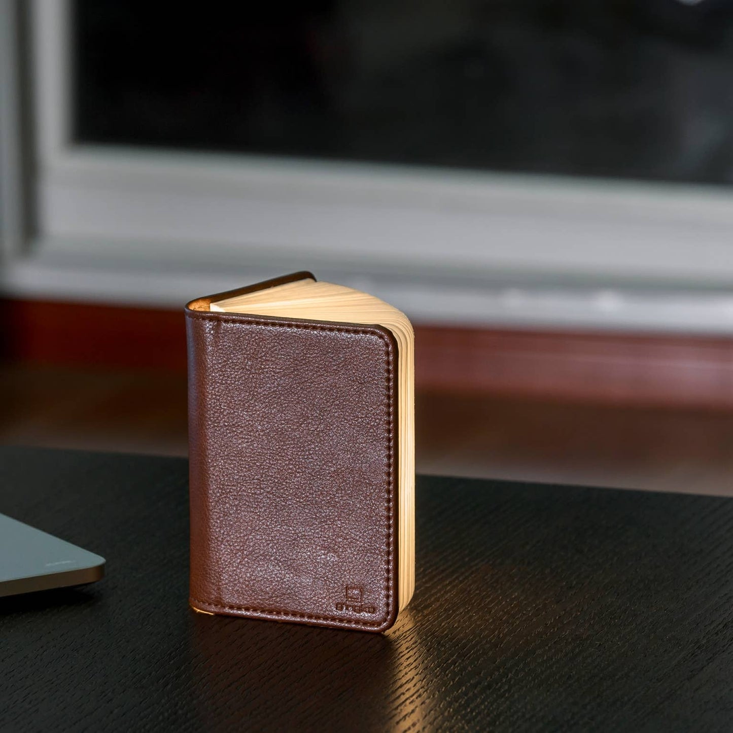 Leather Smart Book Light: Brown Leather / Mini