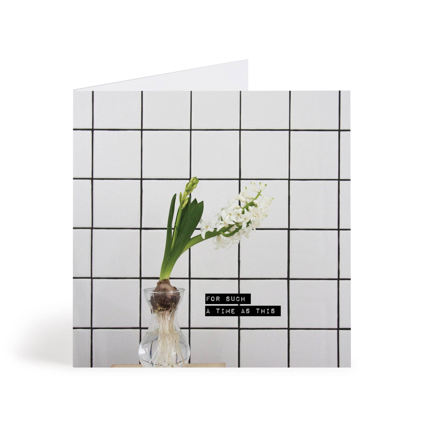Spring Bulb Encouragement Greeting Card