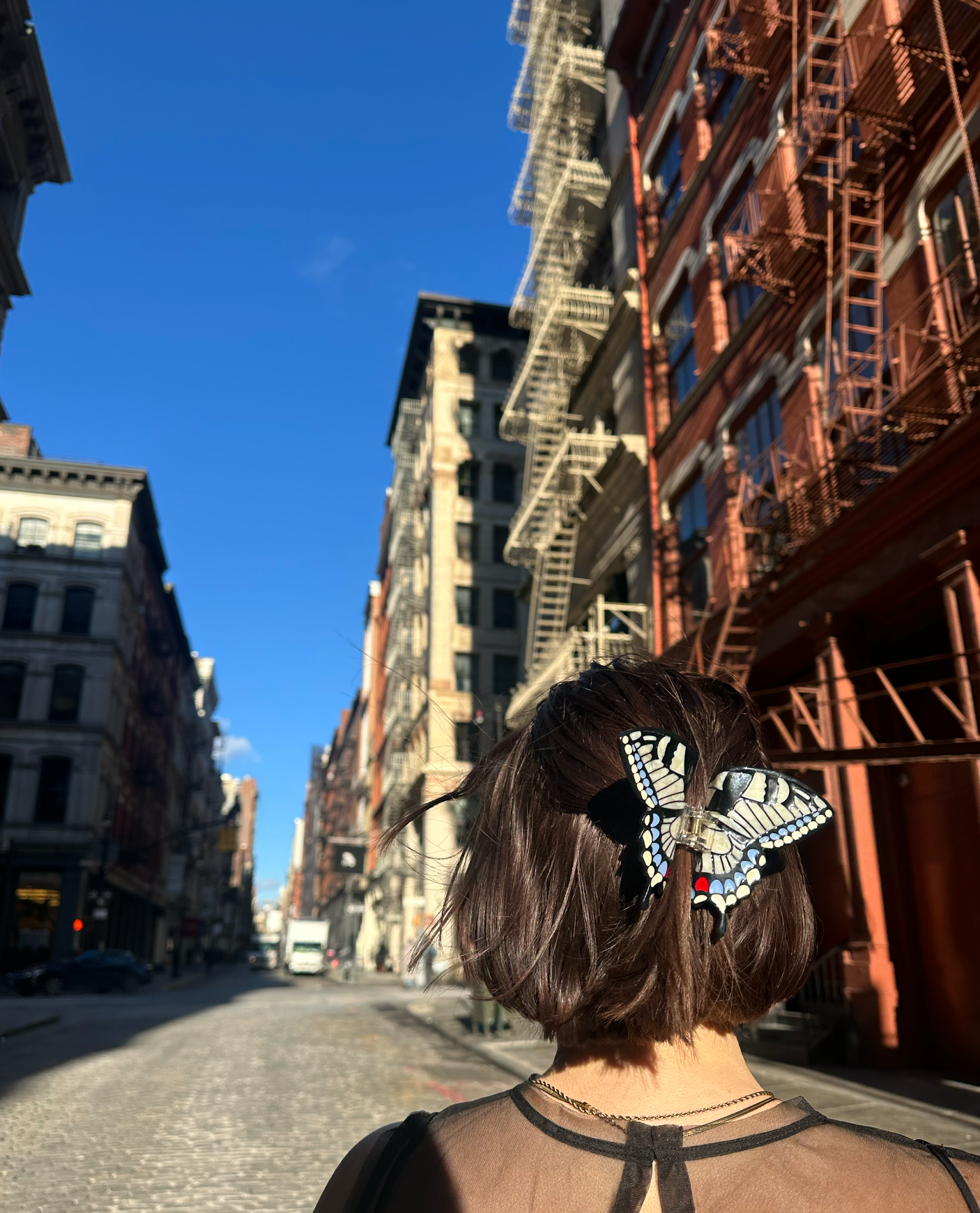 Swallowtail Butterfly Claw Hair Clip White