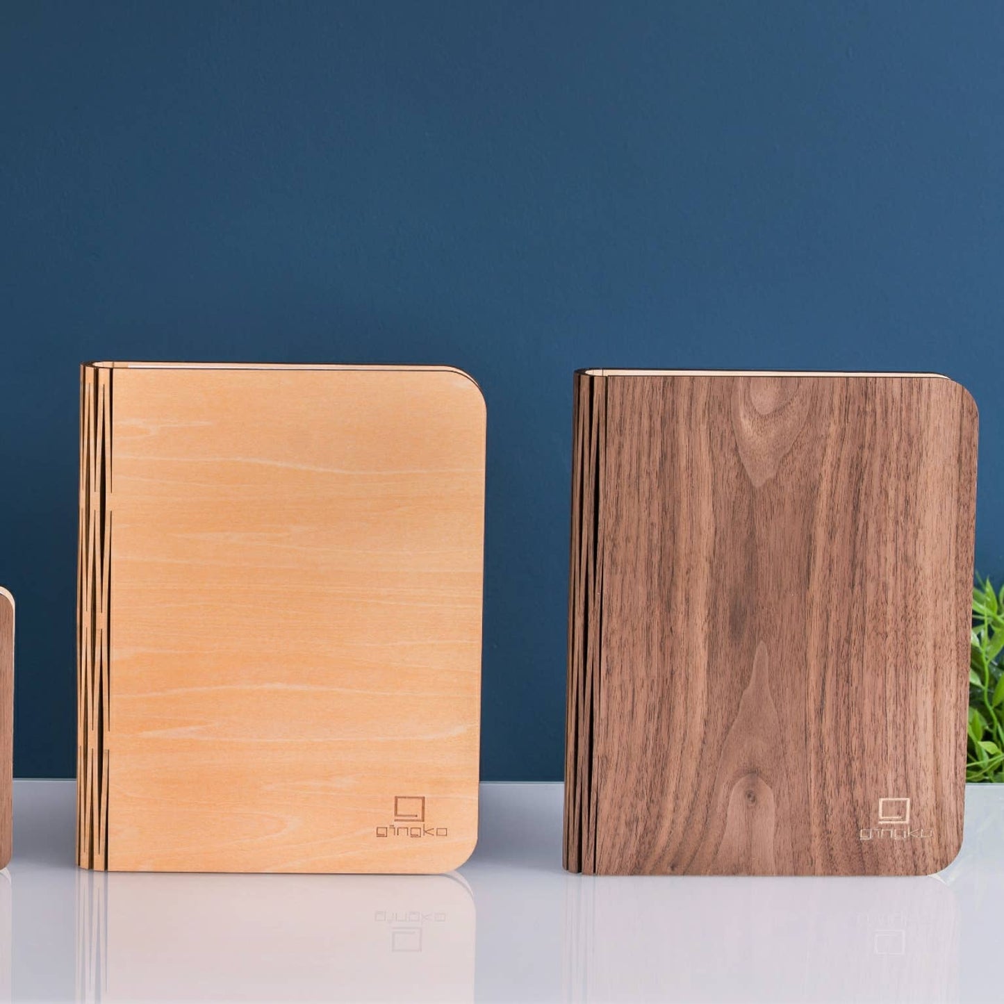 Smart Book Light: Walnut / Large